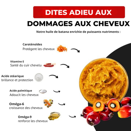 Batana Huile naturelle pour la croissance des cheveux