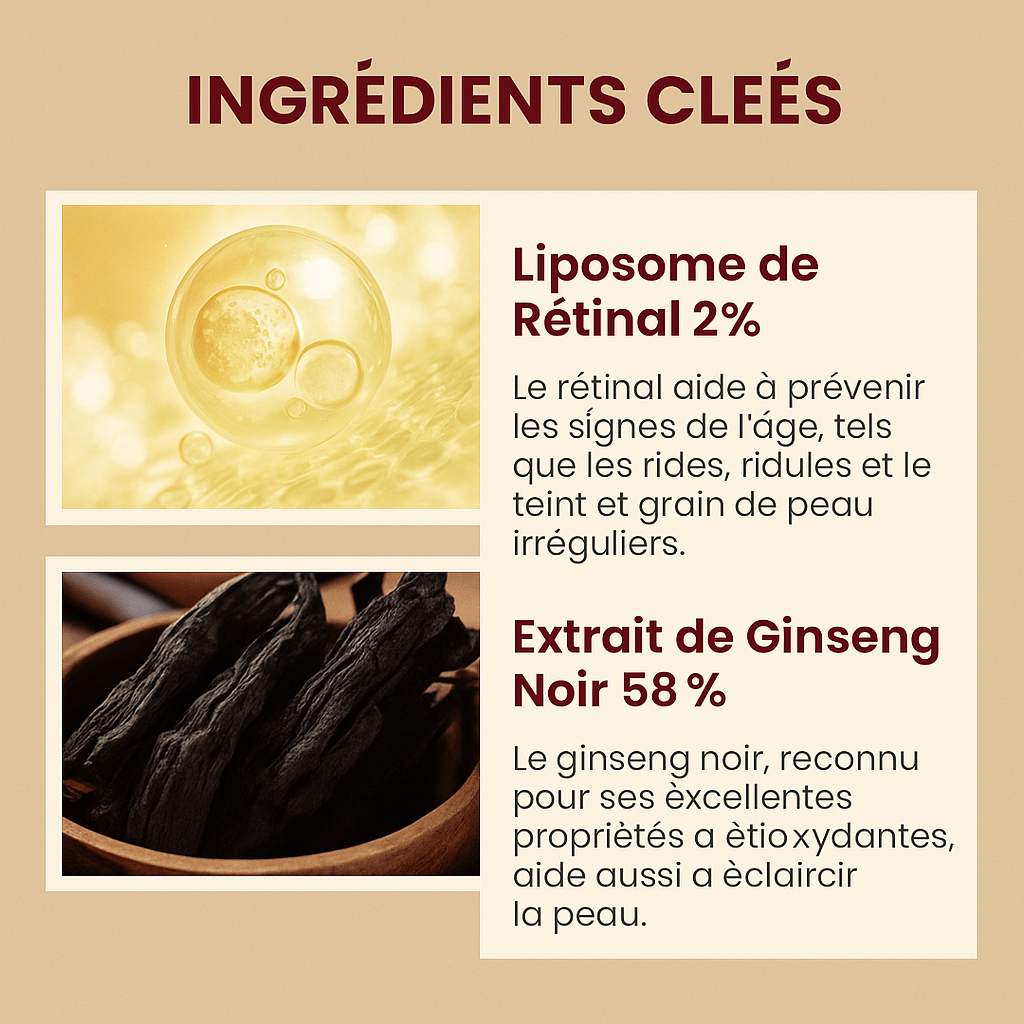 SEOUL 1988 – Sérum Rétinal Liposome 2% & Ginseng Noir